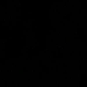 Meet your Posher, Alan